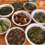 新田:瑶乡春日寻鲜 山间野菜成“香饽饽”