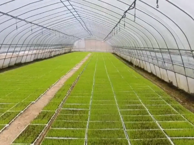 湖南祁阳：做好耕田上的“加减法”