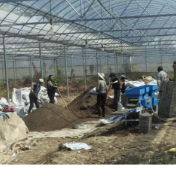 宁远：抓好集中育秧 夯实粮食基础