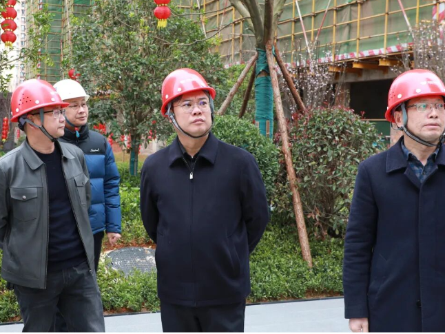 新田：陈雄调研企业复工复产、安全生产工作