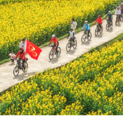 湖南道县：油菜花开引客来（组图）