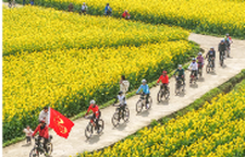 道县：油菜花开引客来