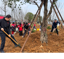 江永：履行义务植树 共建美丽家园