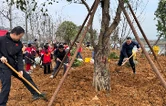 江永：履行义务植树 共建美丽家园