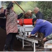 宁远：抢抓农时育早稻 科技赋能备春耕