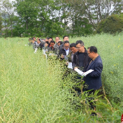 江华：观摩油菜新品种 优选良种促调整