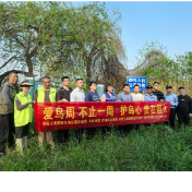 祁阳:爱鸟周多部门联动筑牢鸟类生态防护网