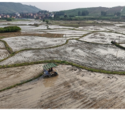 新田：早稻移栽全面铺开 现代化农机助力春耕提速