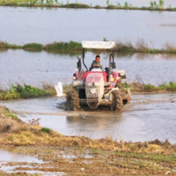 美丽蓝山:河畔沃野春耕忙 白鹭时而翩跹入画来