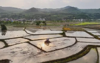 新田：春耕田园美如画（组图）