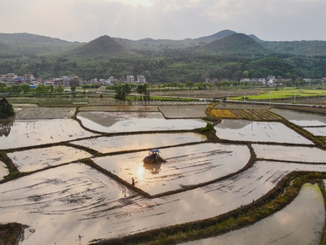 新田：春耕田园美如画（组图）