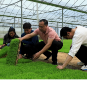 江永:农技下乡助春耕 科技赋能促丰收