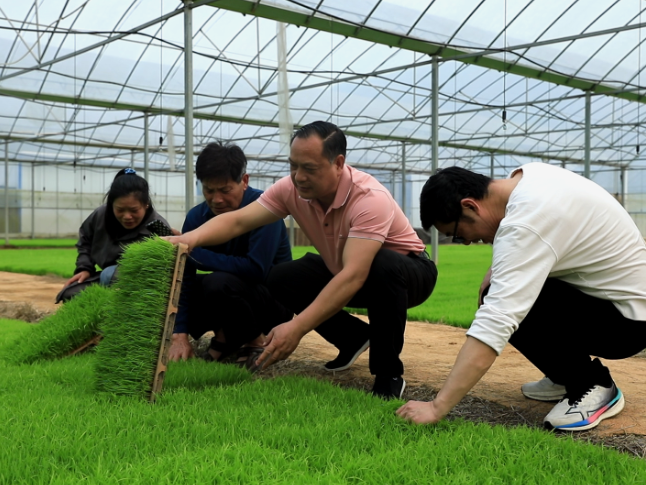 江永：农技下乡助春耕 科技赋能促丰收