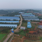 祁阳：政策托底稳养殖 多措并举护增收