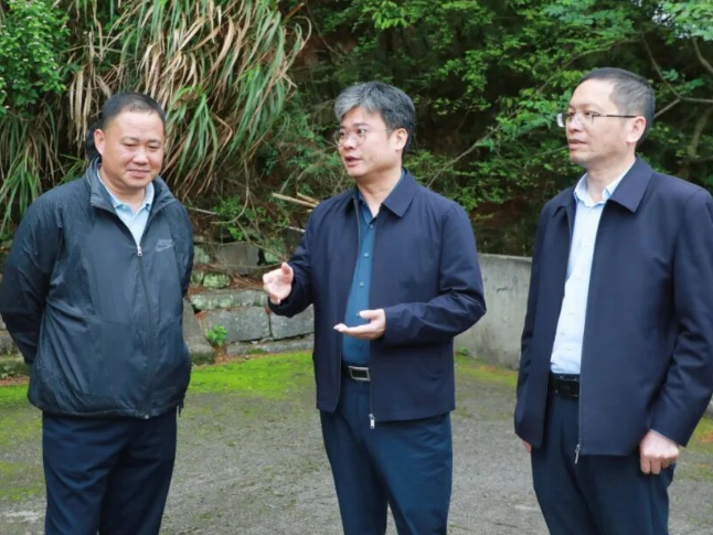 新田：陈雄调研道路交通和防汛工作