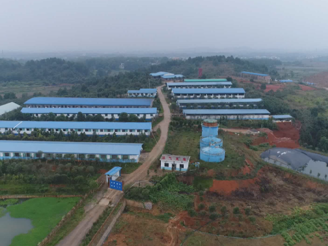 祁阳：政策托底稳养殖 多措并举护增收