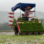 江永：农机助力春耕 种粮省心又增收