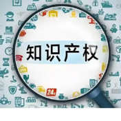 永州亮剑！2025年度知识产权典型案例发布