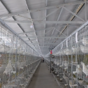 江华：构建种养循环链 变废为宝促振兴