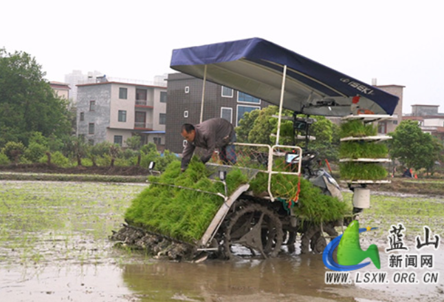 蓝山：无人插秧机“上岗” 智慧春耕添动力