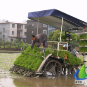 蓝山：无人插秧机“上岗” 智慧春耕添动力