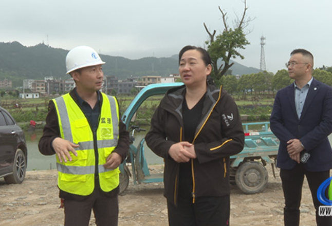 蓝山：邓群调研县城片防洪保护圈项目建设工作