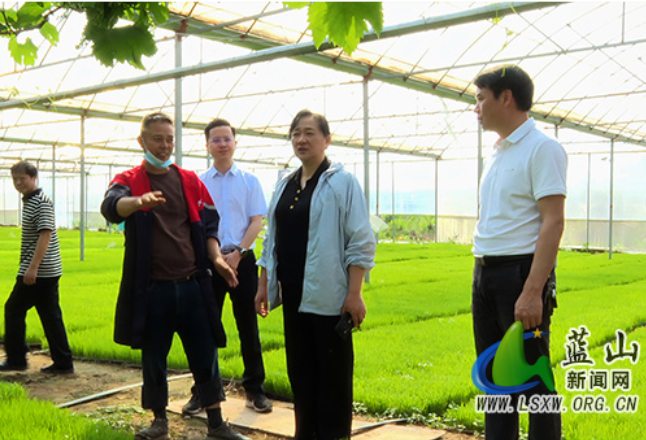 蓝山：邓群到塔峰镇调研粮食生产工作