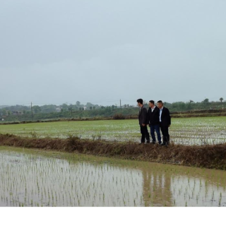 永州：科技深入一线 护航早稻丰产