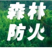 祁阳市龚家坪镇:以练备战 筑牢清明森林“防火墙”
