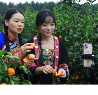 江永:电商赋能乡村产业 数字助农拓宽增收路