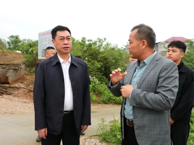 新田：黄永英专题调研东山村乡村振兴工作