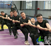 蓝山县政府办2026年第二届庆“五一”职工拔河比赛圆满落幕