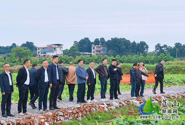 永州市烤烟大田管理现场督促会在蓝山县新圩镇上清涵村召开
