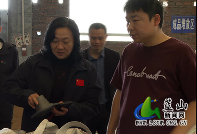 蓝山：以高水平生态保护推动县域经济高质量发展