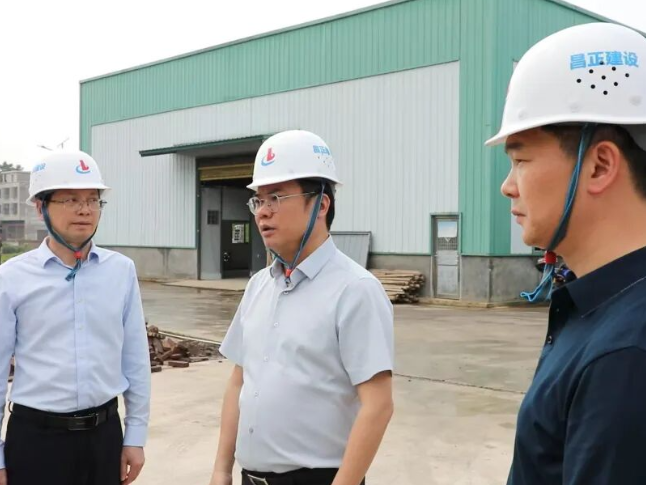 新田：陈雄调研重点项目建设工作