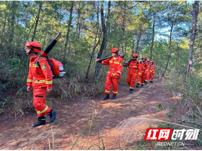道县：抓落实提升防控能力 做好“五一”期间森林防灭火工作