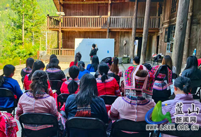 蓝山：擦亮特色劳务品牌 打造就业增收新引擎