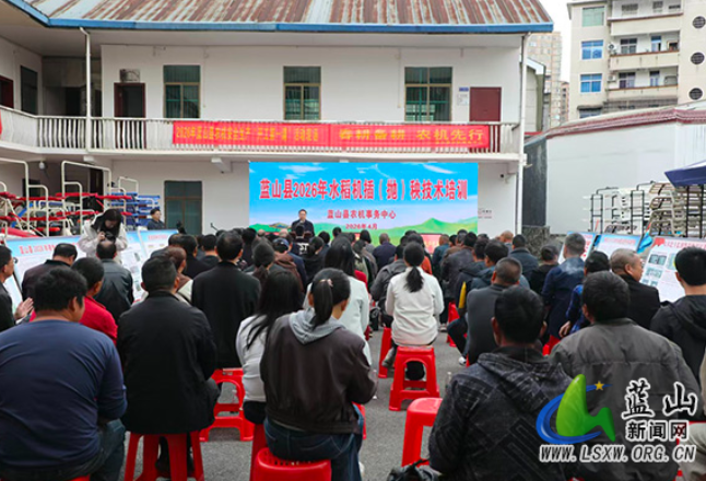 蓝山县举办水稻机插（抛）秧技术培训暨现场演示会