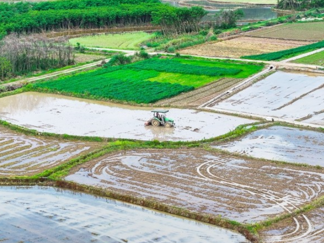 湖南新田：春和景明忙春耕（组图）