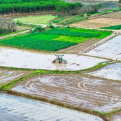 湖南新田：春和景明忙春耕（组图）