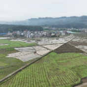 宁远:机械化插秧抢农时 春耕生产按下“快进键”