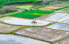 新田：春和景明忙春耕