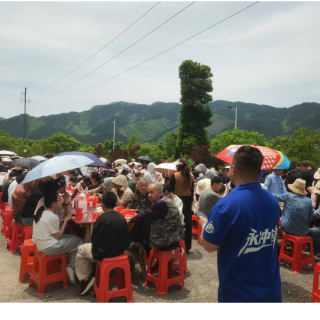 果香四溢庆“五一” 金洞凤凰乡“桑葚节暨长桌宴”热闹启幕