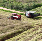宁远:9.2万亩油菜喜获丰收