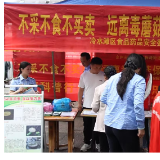 永州冷水滩:“1+N”宣传模式 织密野生蘑菇中毒“防控网”