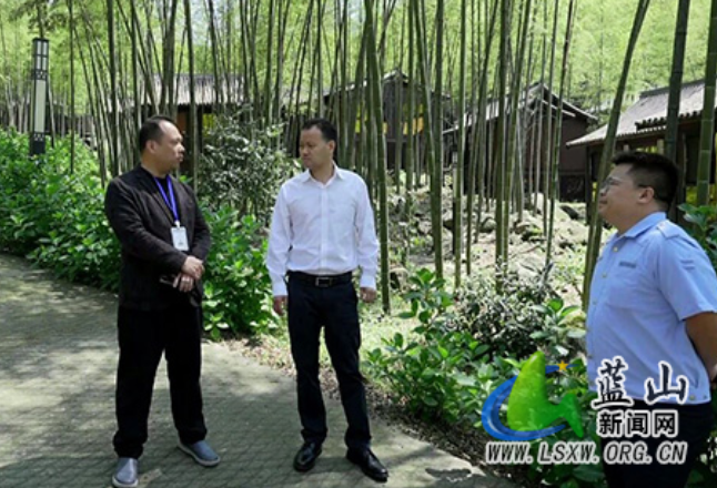 蓝山：曾艺调研督导安全生产工作