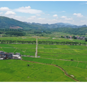 江永:青春返乡赋能田间 智慧飞防护航早稻丰产