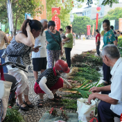 江华:端午品药香 千年瑶药火爆迎盛会