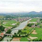 湖南新田：夏至已至 浓绿满畴（组图）