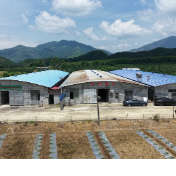 江永：“香柚+肉鸽”双产融合模式助力群众增收